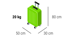 Handbagage på Flixbuss